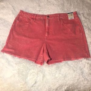 🩷 Terra & Sky 🩷 Women’s Size 20 🩷 Denim Fraid Jean Shorts 🩷 NWT 🩷